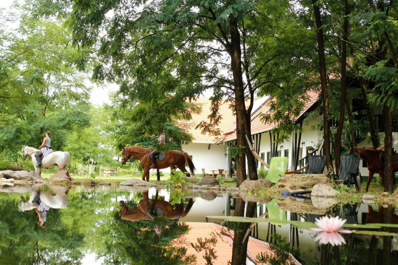 Hunor Lovastanya Hotel Kunbaracs Buitenkant foto