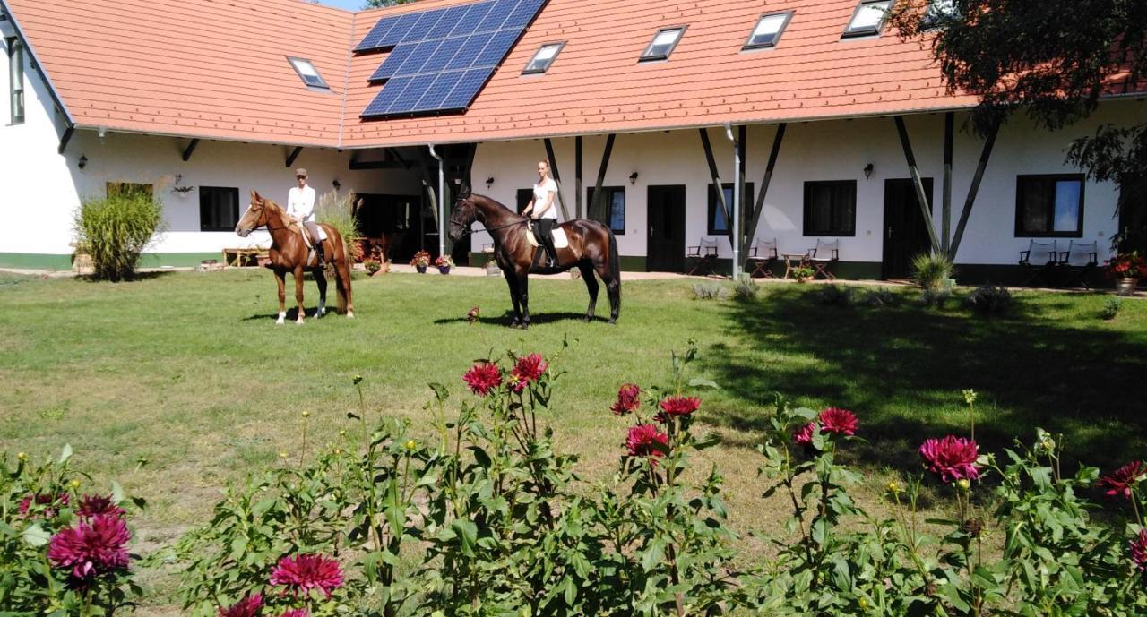 Hunor Lovastanya Hotel Kunbaracs Buitenkant foto
